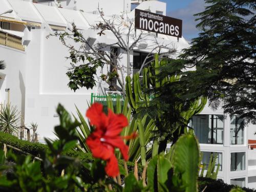 Apartamento con terraza del hotel Mocanes. Foto 40