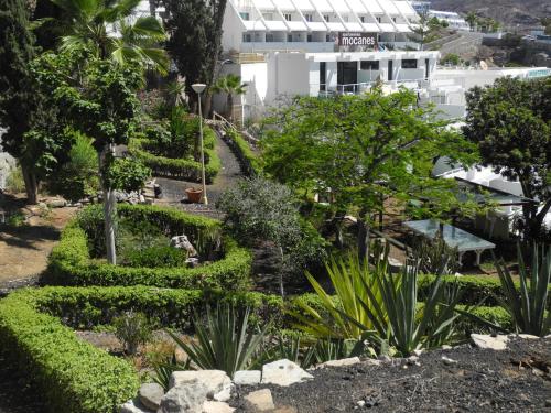 Apartamento con terraza del hotel Mocanes. Foto 24