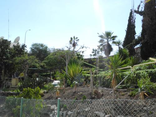 Apartamento con terraza del hotel Mocanes. Foto 25