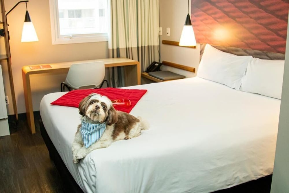 Habitación Standard con 1 cama doble y 1 sofá cama del hotel Ibis Sao Paulo Tatuape. Foto 5