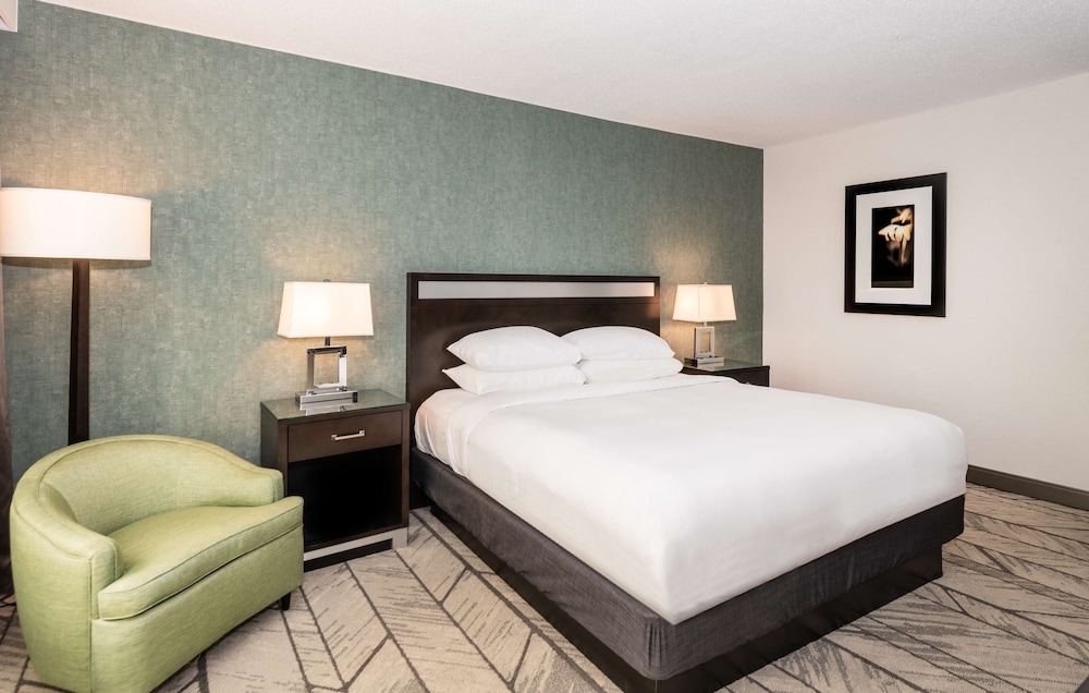 Habitación, 1 cama de matrimonio del hotel DoubleTree Newark Penn Station. Foto 3