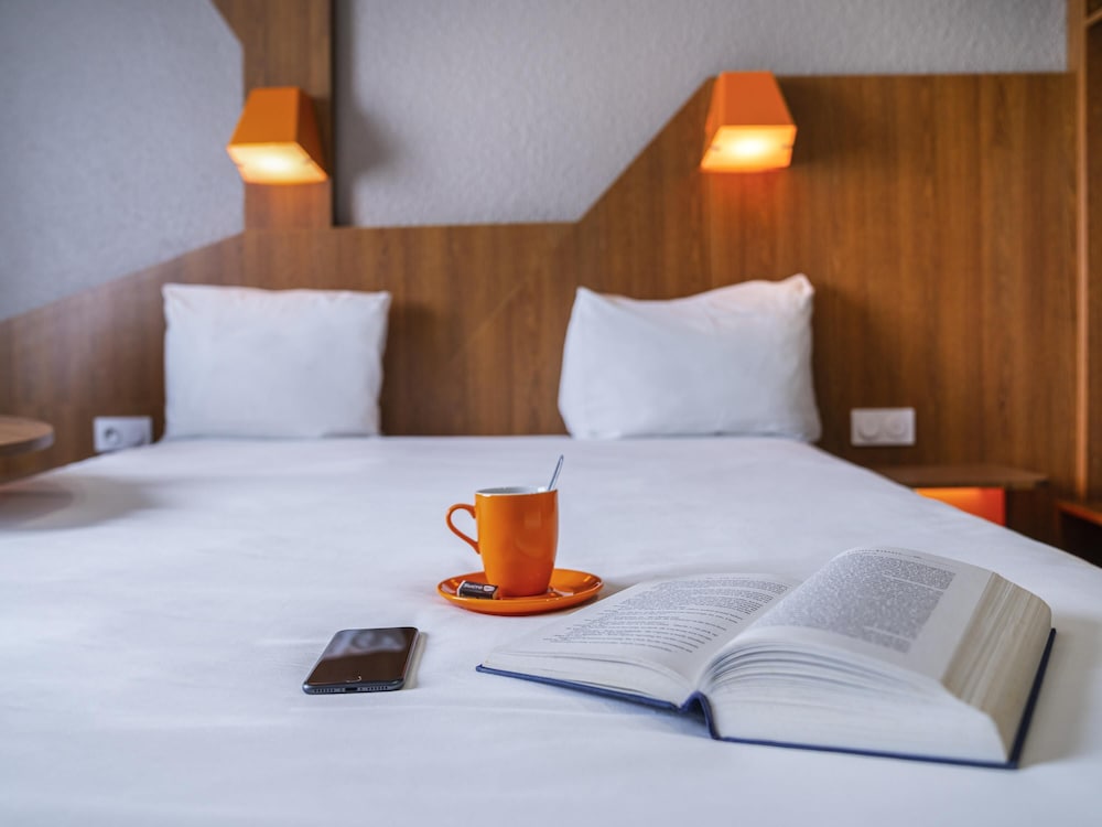 Habitación Estándar con 1 cama doble del hotel Ibis Styles Gien. Foto 1