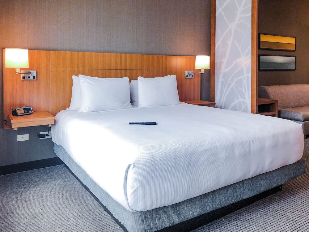 Accesible | Cama King/Bañera (Con Sofá Cama) del hotel Hyatt Place Houston-northwest / Cy-fair. Foto 2