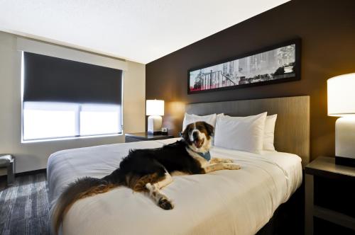 Suite Estudio King Accesible ADA Ducha del hotel Hyatt House Atlanta Cobb Galleria. Foto 4