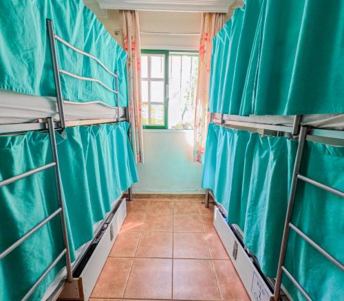 Litera en habitación compartida - Solo mujeres del hotel Arena Nest