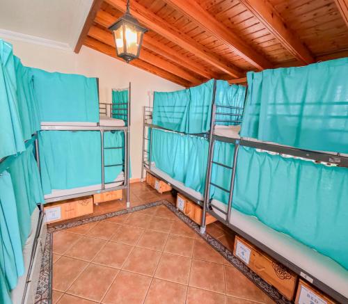 Litera en habitación compartida mixta del hotel Arena Nest