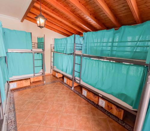 Litera en habitación compartida mixta del hotel Arena Nest. Foto 1