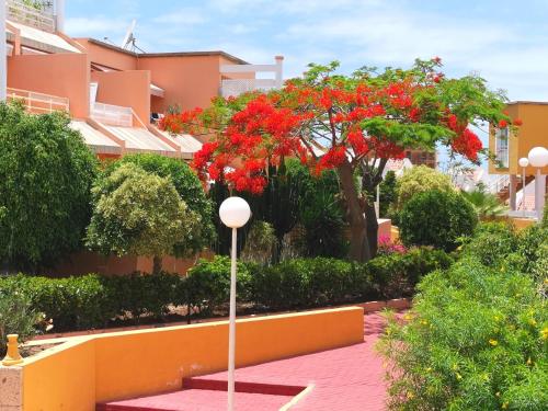 Apartamento de 1 dormitorio del hotel Apartment Orlando Torviscas Bajo. Foto 25