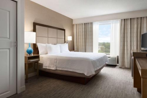 Suite de 1 dormitorio con cama extragrande - No fumadores del hotel Hampton Inn Brookhaven Long Island. Foto 1