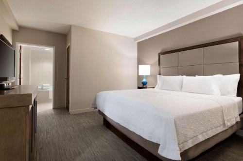 Suite de 1 dormitorio con cama extragrande - No fumadores del hotel Hampton Inn Brookhaven Long Island. Foto 5
