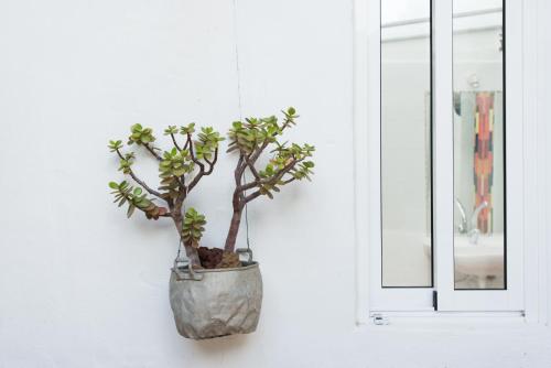 Apartamento - Planta baja del hotel El Sitio. Foto 2