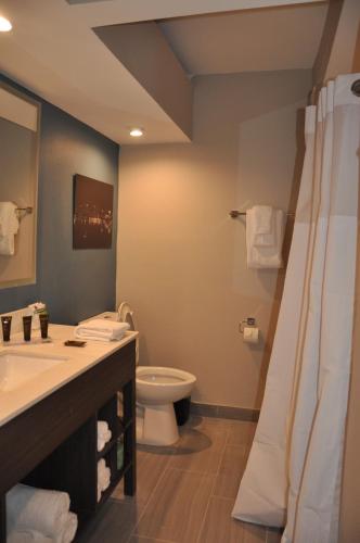 Habitación con cama extragrande y ducha a ras de suelo - Adaptada para personas con movilidad reducida del hotel Nobile Parkway at Celebration