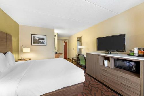 Habitación con cama extragrande y ducha a ras de suelo - Adaptada para personas de movilidad reducida/No fumadores del hotel Best Western Marketplace Inn. Foto 2