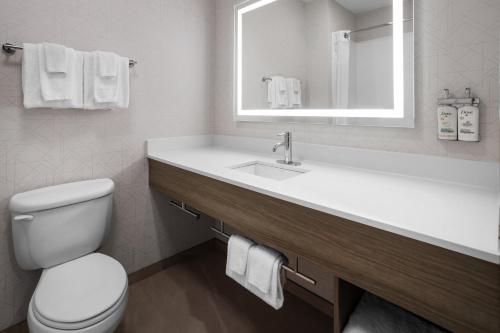 Suite con cama extragrande del hotel Holiday Inn Express Syracuse-Fairgrounds. Foto 1
