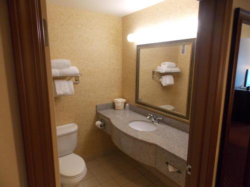 Habitación con cama extragrande - Adaptada para personas de movilidad reducida del hotel Holiday Inn Express Syracuse-Fairgrounds. Foto 3