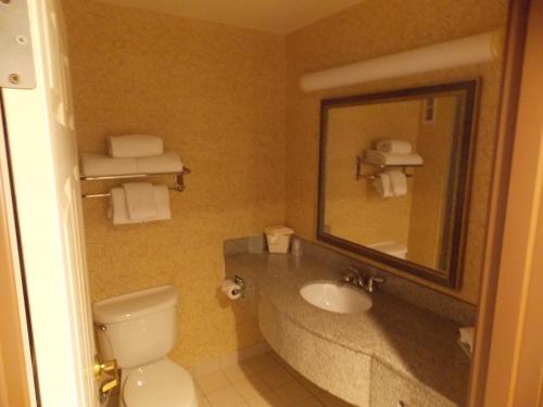 Habitación Estándar con ducha accesible en silla de ruedas - cama extragrande - Adaptada para personas con movilidad reducida del hotel Holiday Inn Express Syracuse-Fairgrounds. Foto 5