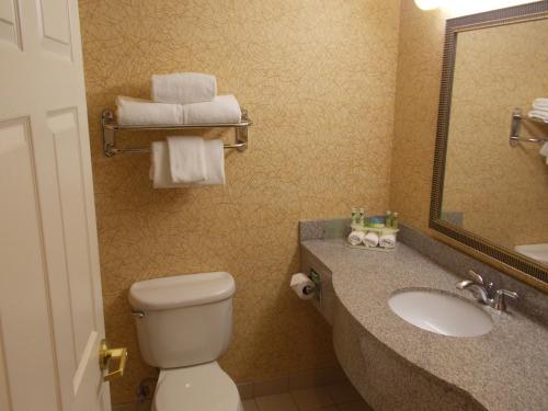 Habitación - 2 camas grandes - Adaptada para personas con movilidad reducida - No fumadores del hotel Holiday Inn Express Syracuse-Fairgrounds. Foto 6