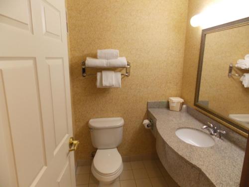 Suite Junior Doble con sofá cama del hotel Holiday Inn Express Syracuse-Fairgrounds. Foto 7