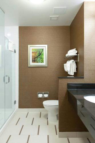 Habitación adaptada para personas con movilidad reducida/discapacidad auditiva con ducha accesible en silla de ruedas - Cama extragrande del hotel Fairfield Inn and Suites by Marriott Ithaca. Foto 7