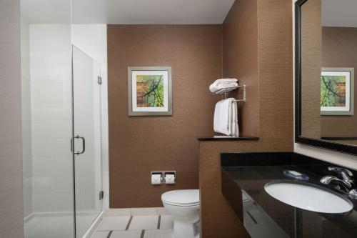 Habitación adaptada para personas con movilidad reducida/discapacidad auditiva con ducha accesible en silla de ruedas - Cama extragrande del hotel Fairfield Inn and Suites by Marriott Ithaca. Foto 8