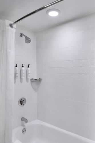 Habitación adaptada para personas con movilidad reducida con bañera adaptada - 1 cama extragrande del hotel Fairfield Inn by Marriott Rochester East. Foto 7