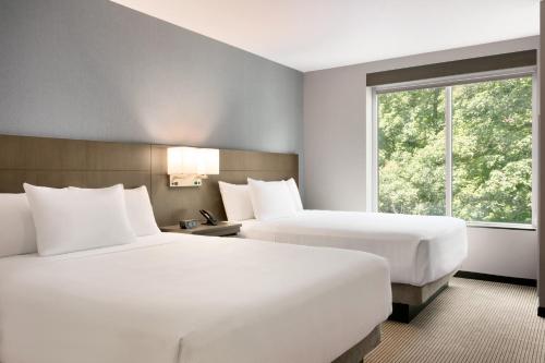 Habitación con 2 camas grandes, sofá cama y ducha accesible en silla de ruedas - Adaptada para personas con discapacidad del hotel Hyatt Place Fort Lee / George Washington Bridge. Foto 5