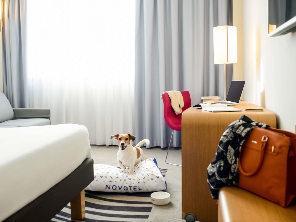 Habitación ejecutiva, 1 cama de matrimonio grande con sofá cama del hotel Novotel Milano Malpensa Aeroporto. Foto 6