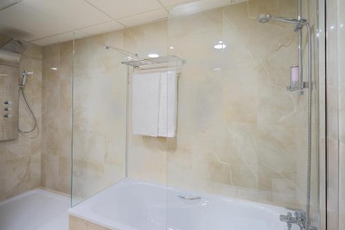 Suite Junior del hotel Guadalmedina. Foto 6