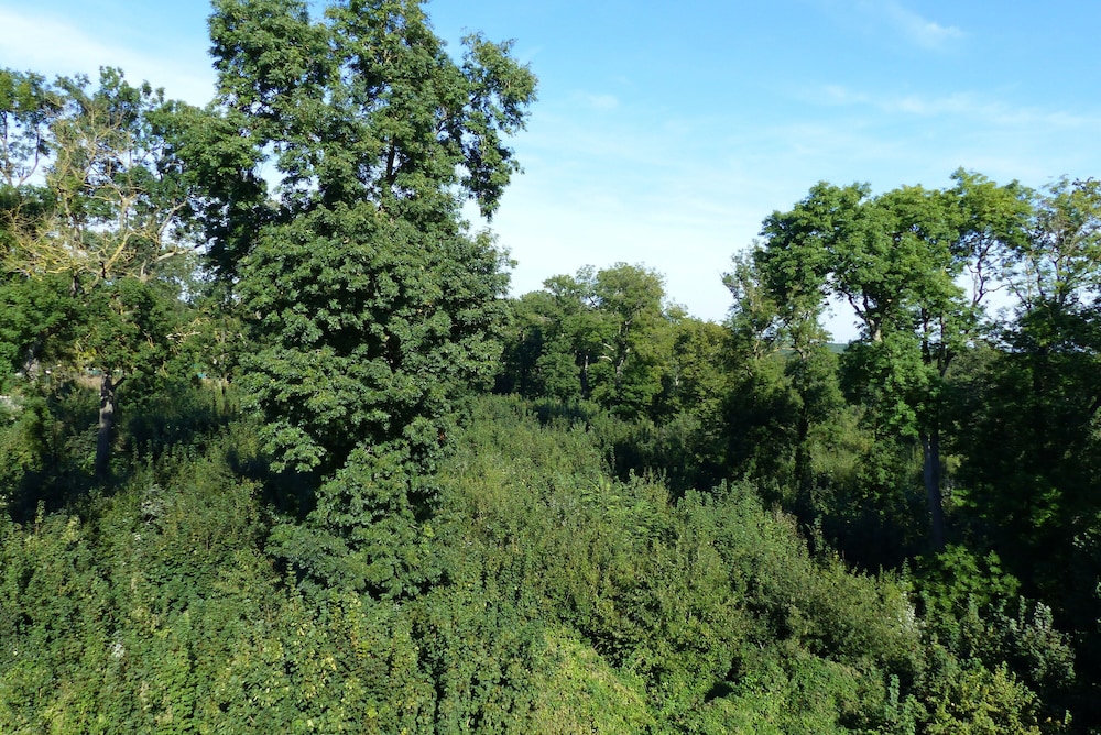 HABITACIÓN PREMIUM CON UNA CAMA DOBLE GRANDE Y VISTAS AL BOSQUE del hotel Ibis Paris Meudon Velizy. Foto 8