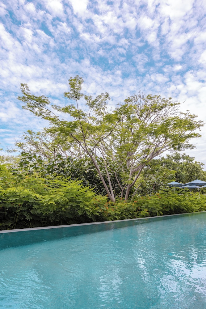 Suite Junior Allure, 1 Cama King, Solo Adultos (Acceso a la Alberca) del hotel Armony Marival Resort & Spa Punta de Mita - MGallery collection. Foto 12