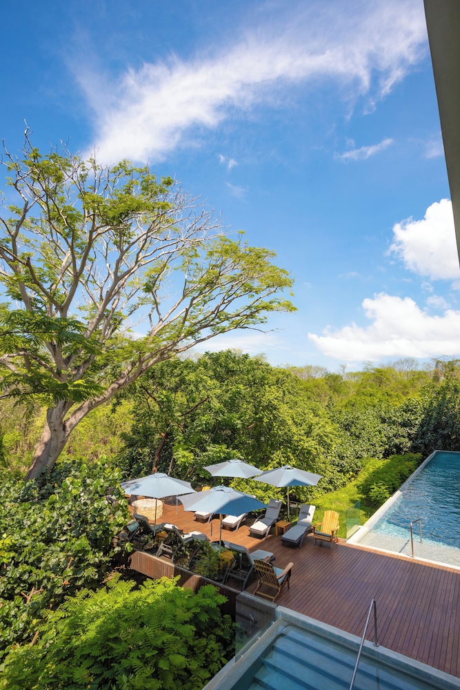 Habitación Allure, 1 Cama King, Solo Adultos (Vista a la Selva) del hotel Armony Marival Resort & Spa Punta de Mita - MGallery collection. Foto 6