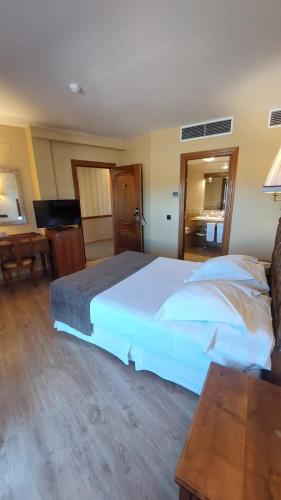 Habitación Doble con terraza del hotel Ele Puente Romano. Foto 5