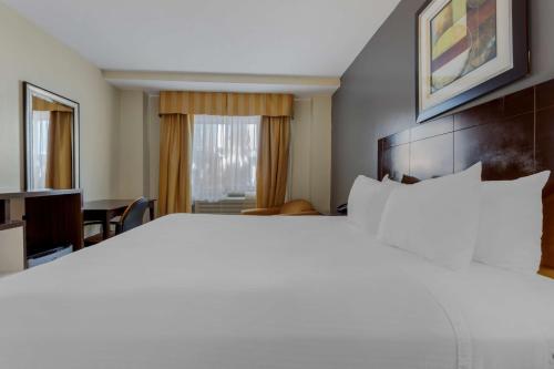 Habitación con cama extragrande - No fumadores del hotel Best Western Plus Brooklyn Bay. Foto 3
