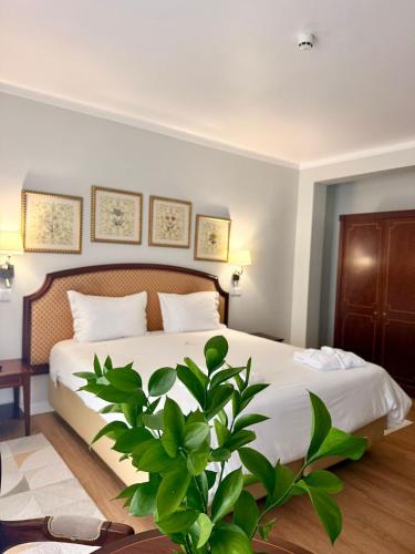 Suite del hotel Talisman