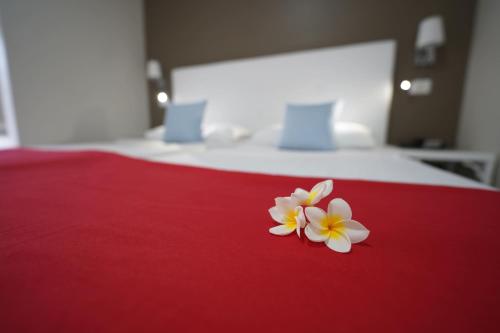 Habitación familiar Vista Jardin Sofá Cama incluido 1 Cama super king del hotel Rf San Borondon. Foto 5