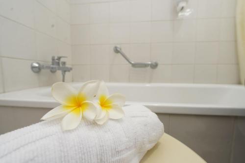 Habitación Familiar con vistas al jardín del hotel Rf San Borondon. Foto 4