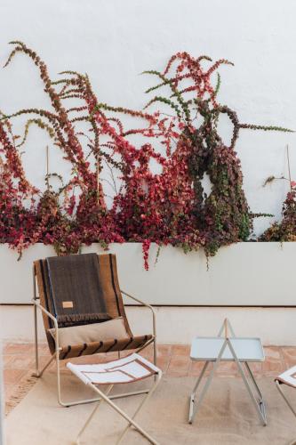 Suite con terraza del hotel Plácido Y Grata. Foto 1