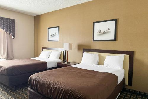 Alojamiento Deluxe - 2 camas dobles - No fumadores del hotel Fairbridge Inn and Suites Batavia - Darien Amusement Park
