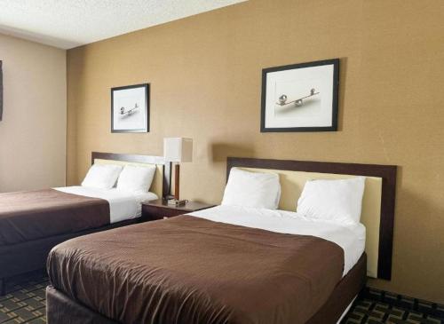 Alojamiento Deluxe - 2 camas dobles - No fumadores del hotel Fairbridge Inn and Suites Batavia - Darien Amusement Park. Foto 1