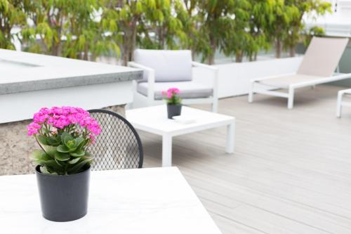 Suite - Ático del hotel Suites 1478. Foto 5