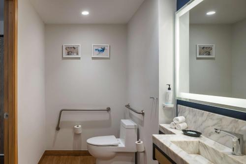 Habitación con cama extragrande y ducha a ras de suelo - Adaptada para personas de movilidad reducida y con discapacidad auditiva del hotel Hilton Garden Inn Cancun Airport. Foto 3