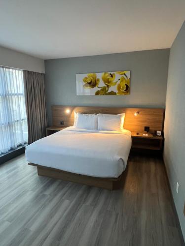 Habitación con cama extragrande adaptada para personas con movilidad reducida/con discapacidad auditiva y ducha a ras de suelo/Admite mascotas - No fu del hotel Wingate by Wyndham Long Island City. Foto 4