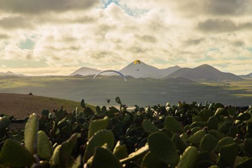 Dome del hotel Luxurious Eco Dome Experience Lanzarote. Foto 46