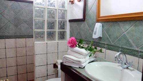 Apartamento de 1 dormitorio del hotel Finca La Hacienda. Foto 6