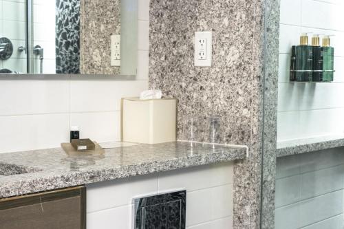 Habitación Superior - 1 cama grande del hotel Carnegie. Foto 10