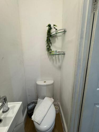 Estudio Sofá Cama incluido 1 Cama Individual kitchenette del hotel Holland Road Stays. Foto 5