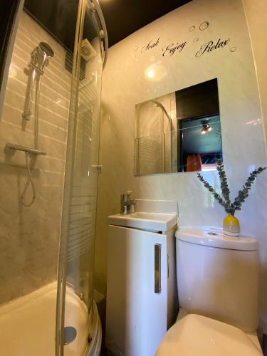 Estudio Estándar del hotel Holland Road Stays. Foto 3