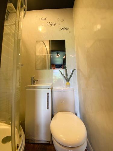 Estudio Estándar del hotel Holland Road Stays. Foto 6