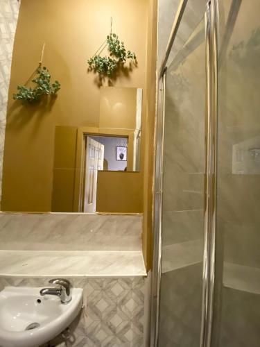 Estudio Con Cocina 1 Cama Individual del hotel Holland Road Stays. Foto 2