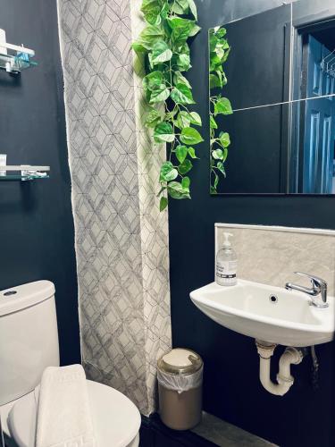 Estudio Doble Deluxe del hotel Holland Road Stays. Foto 2